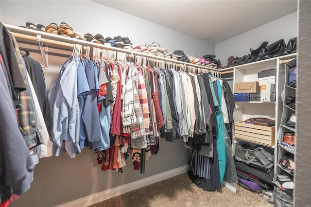 walk in closet featuring carpet floors