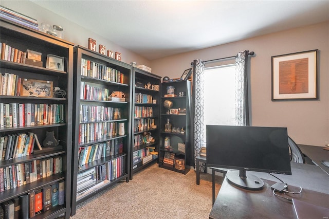 view of carpeted home office