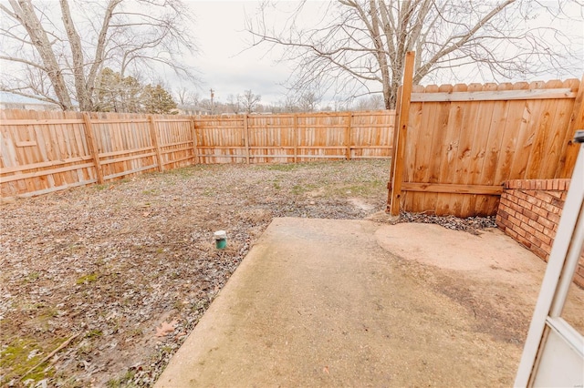 view of yard featuring a patio area