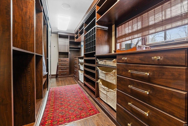 spacious closet with dark wood-type flooring