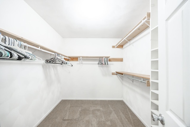 spacious closet featuring light colored carpet