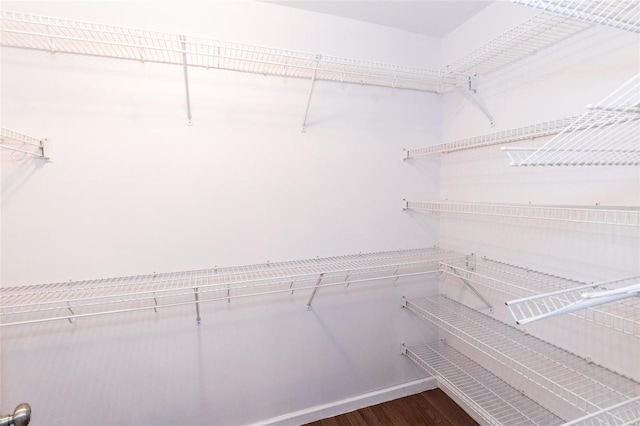 spacious closet with dark wood-type flooring