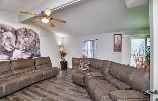 living room featuring a healthy amount of sunlight, ceiling fan, wood-type flooring, and vaulted ceiling