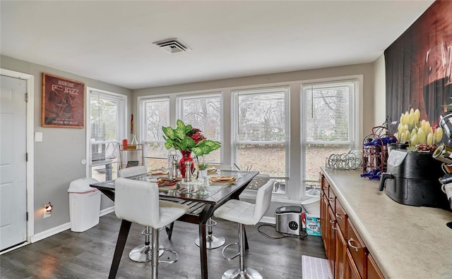 dining room featuring dark hardwood / wood-style flooring and a wealth of natural light