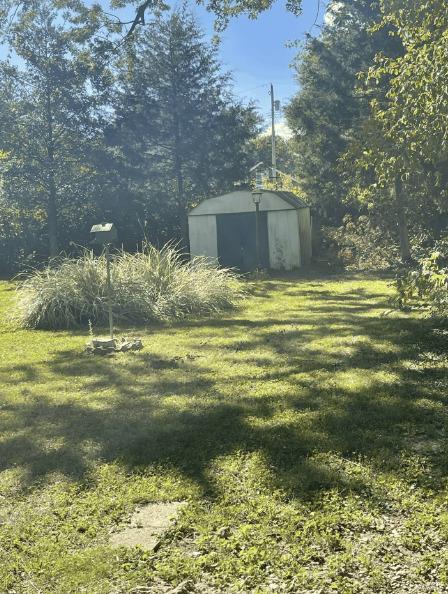 view of yard with a storage unit