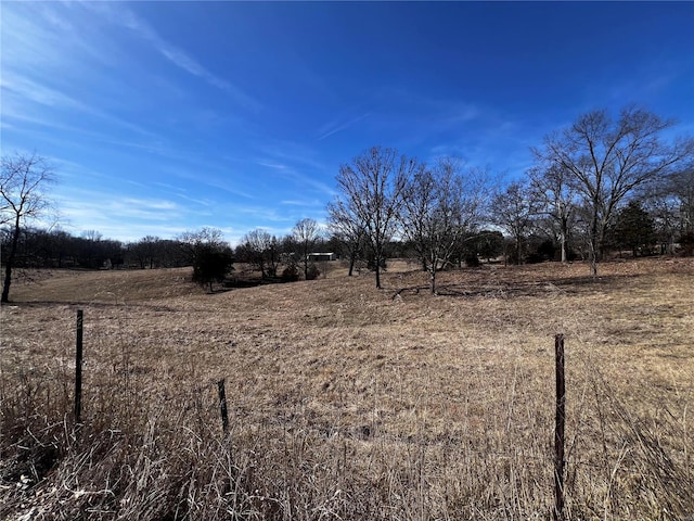 view of yard with a rural view