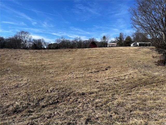 view of yard with a rural view