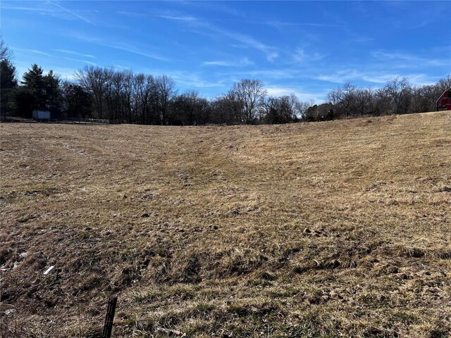 view of local wilderness featuring a rural view