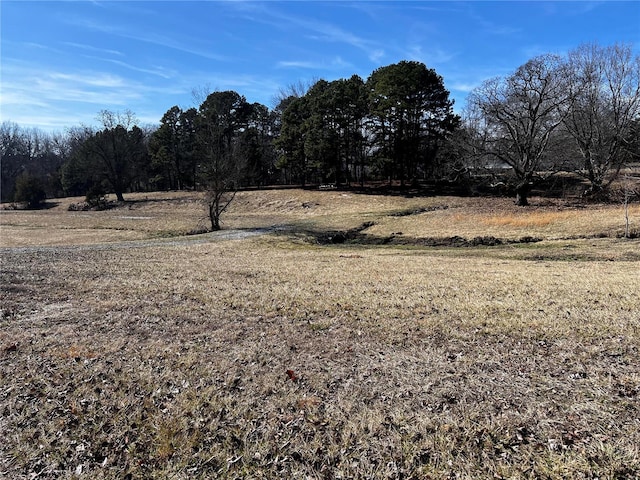 view of landscape featuring a rural view