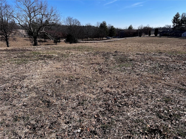 view of yard featuring a rural view