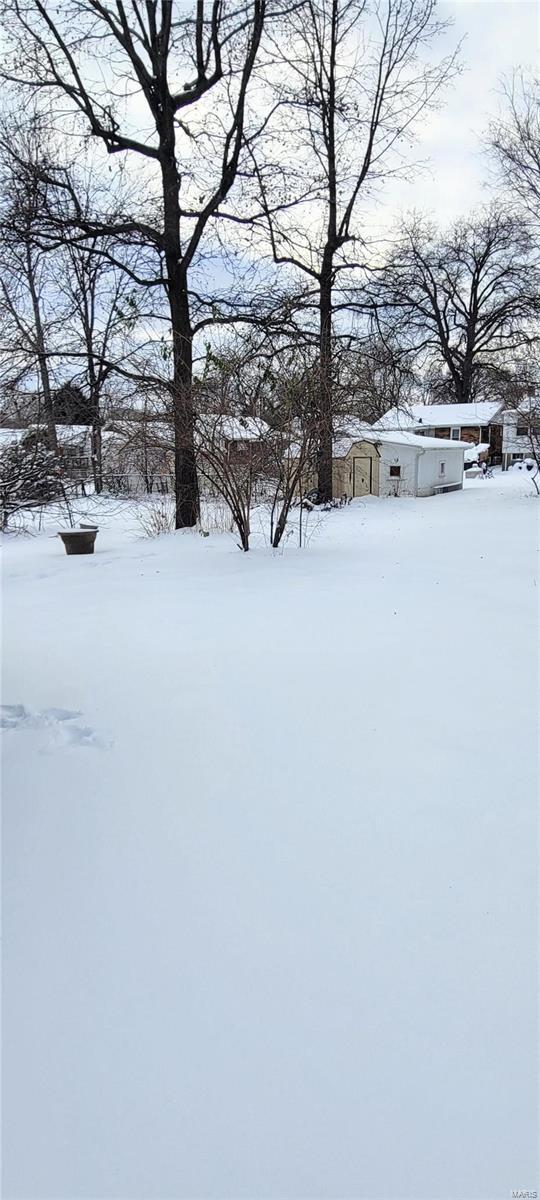 view of yard covered in snow