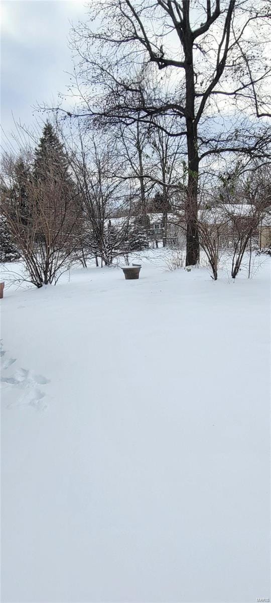 view of yard layered in snow