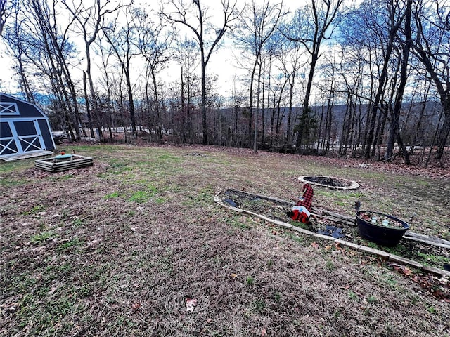 view of yard featuring a shed