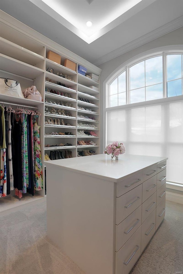 walk in closet with light colored carpet