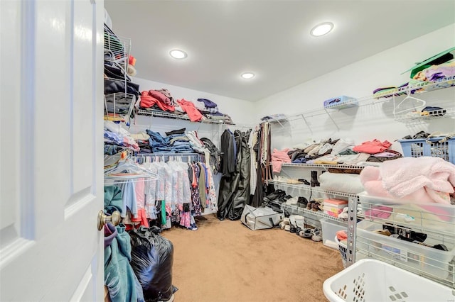 walk in closet featuring carpet