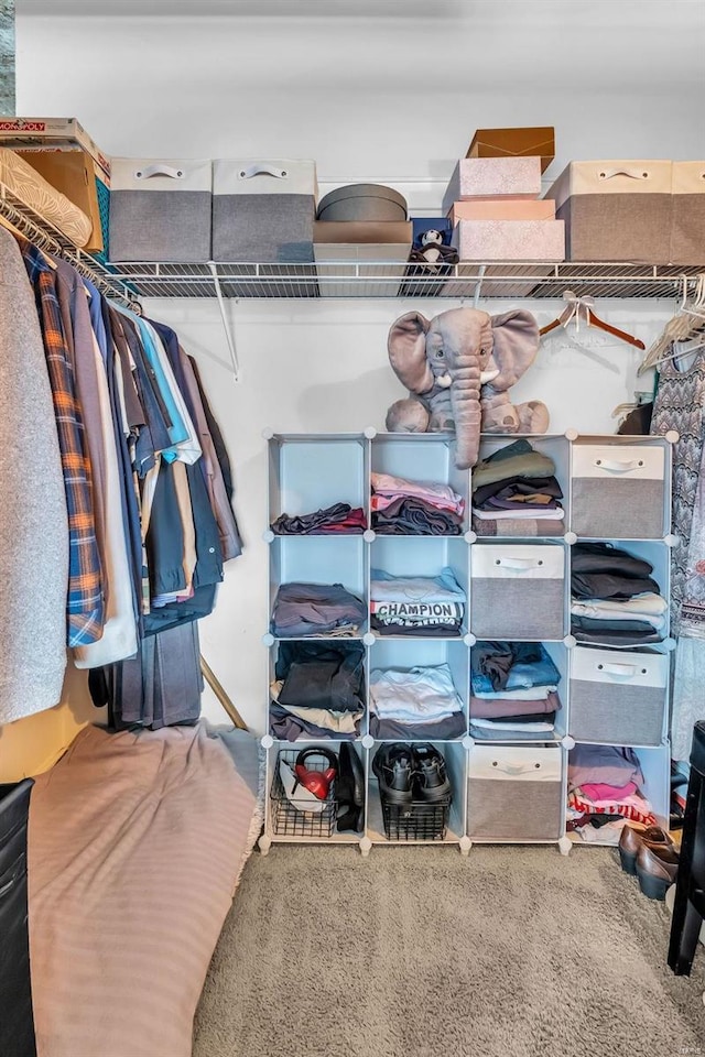 spacious closet featuring carpet floors