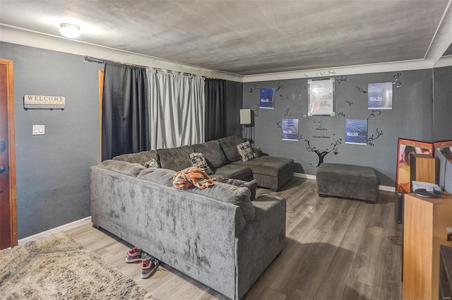 living room with hardwood / wood-style flooring