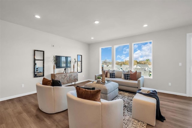 living room featuring hardwood / wood-style flooring