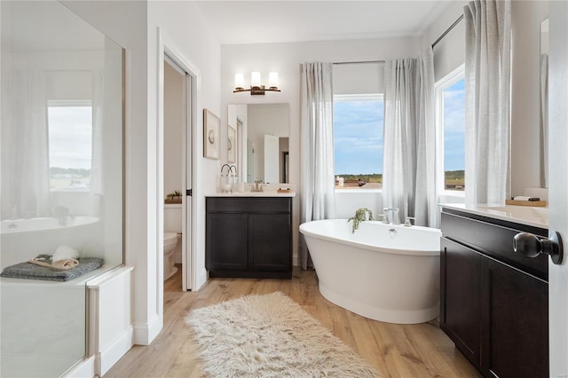 bathroom featuring toilet, hardwood / wood-style floors, vanity, and a washtub