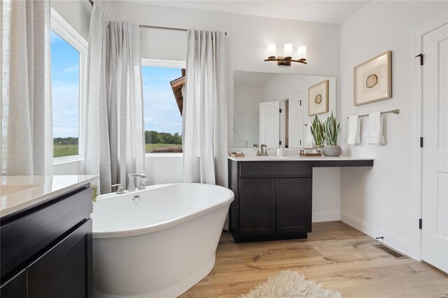 bathroom with hardwood / wood-style floors, vanity, and a tub