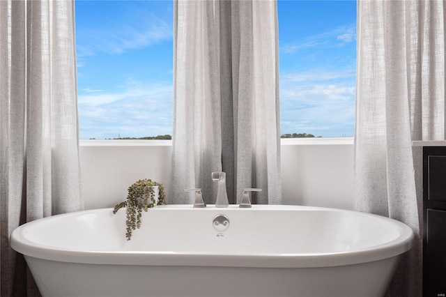 bathroom featuring a washtub and a wealth of natural light