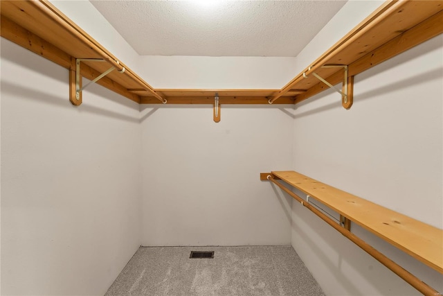 walk in closet with carpet floors