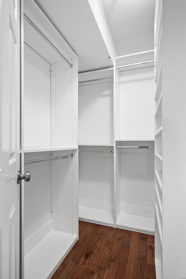 spacious closet with dark hardwood / wood-style floors