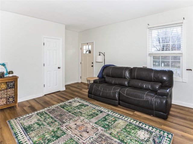 living room featuring dark hardwood / wood-style flooring