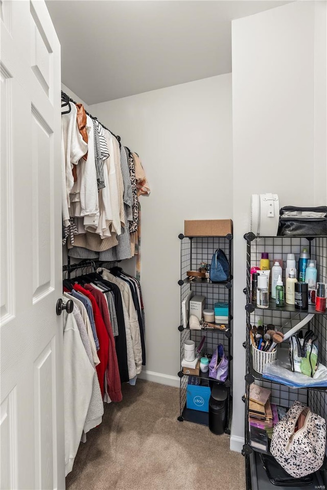 walk in closet featuring carpet flooring