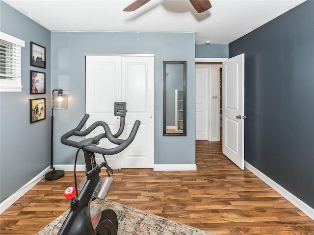 workout room with ceiling fan and dark wood-type flooring