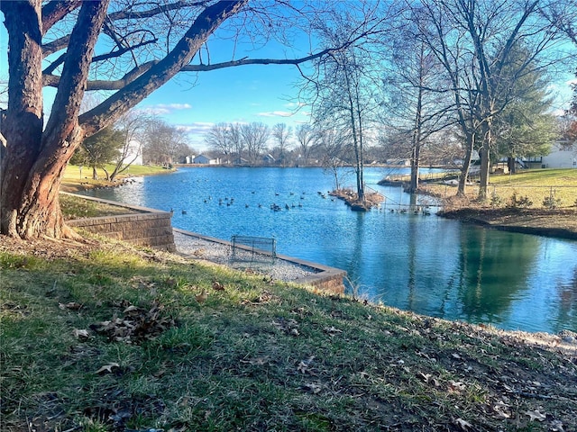 water view