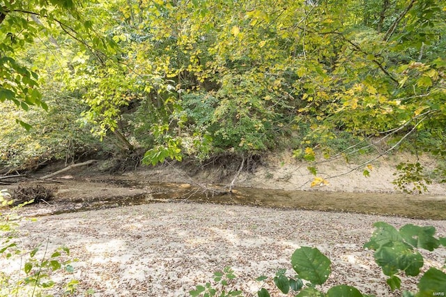 view of local wilderness