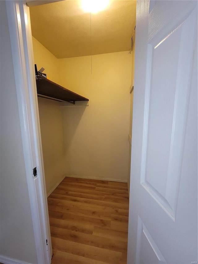 walk in closet featuring wood finished floors