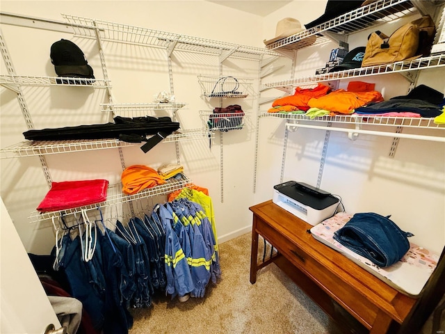 spacious closet with carpet