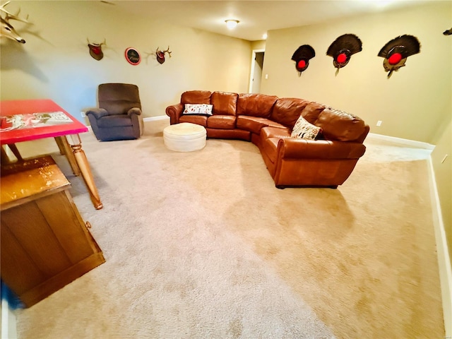 living room featuring carpet flooring