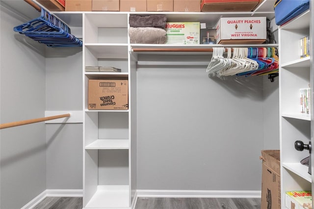 spacious closet featuring wood-type flooring