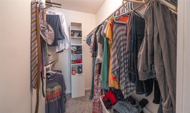 walk in closet featuring carpet floors