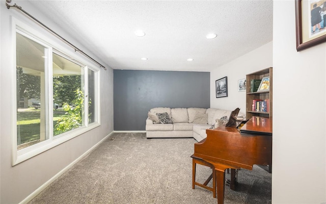 carpeted living room with a textured ceiling