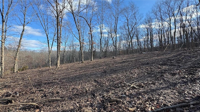 view of local wilderness