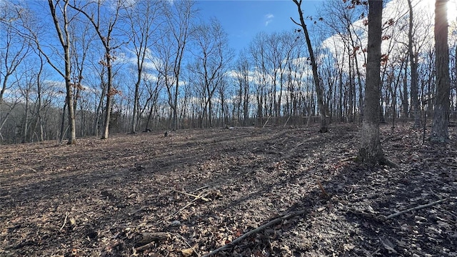 view of nature featuring a wooded view