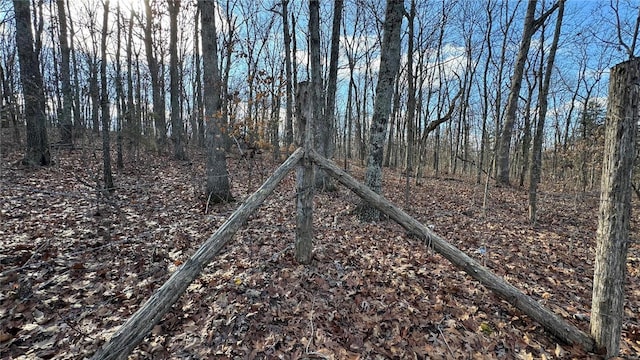 view of local wilderness