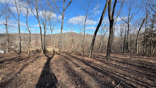 view of road featuring a forest view