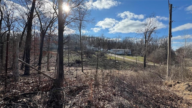 view of landscape featuring a view of trees