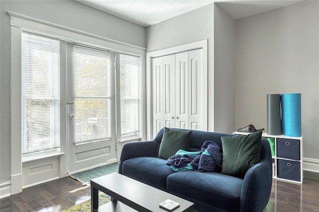 living room with dark hardwood / wood-style floors