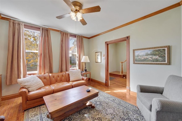 living room featuring crown molding, ceiling fan, and light wood-type flooring