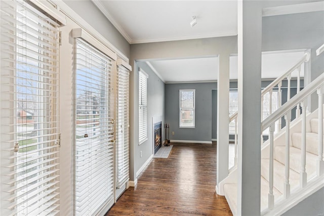 foyer featuring plenty of natural light, crown molding, and dark wood-type flooring