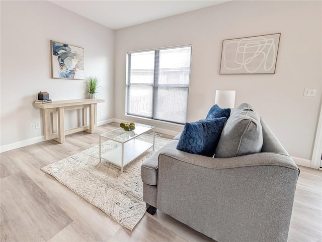 living room with wood-type flooring