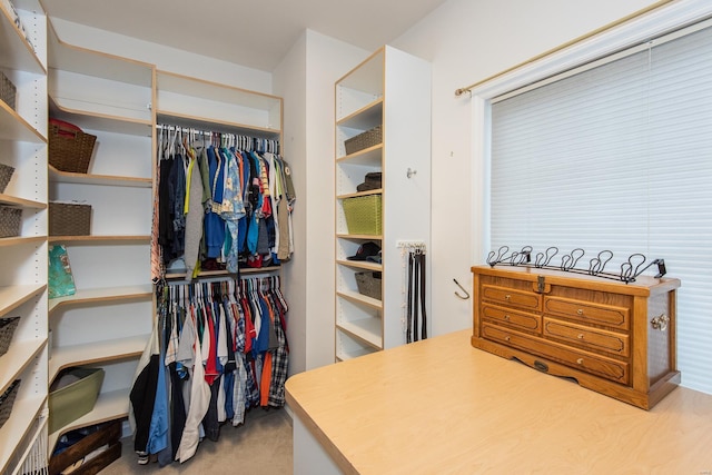 view of spacious closet