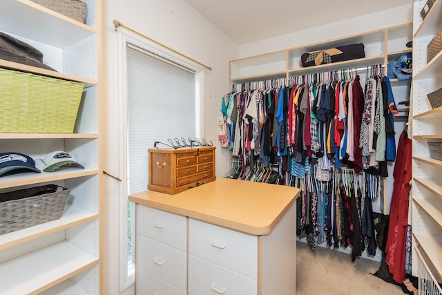 view of walk in closet