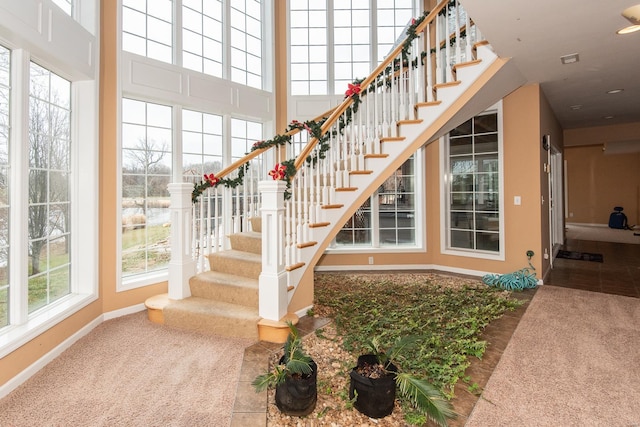 stairs featuring carpet